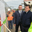 На трассе Екатеринбург — Тюмень начал строиться важный мост - Газета Время
