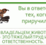 О несоблюдении владельцами животных требований к выгулу и содержанию домашних животных - Нижнетуринский городской округ