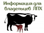Маркирование и учет животных осуществляются в целях предотвращения распространения заразных болезней животных